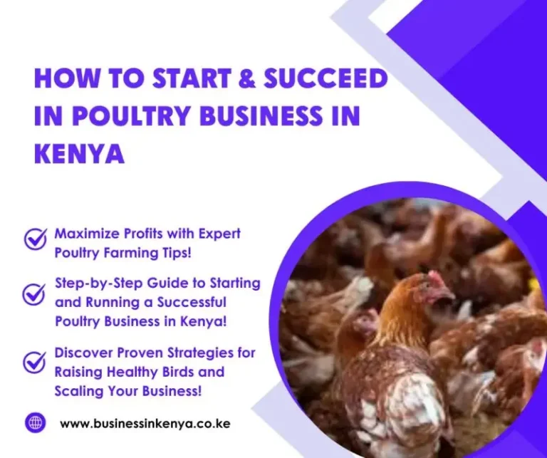Poultry Business In Kenya